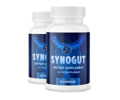 Modern Lifestyle, Gut Health, and the Role of Prebiotic/Probiotic