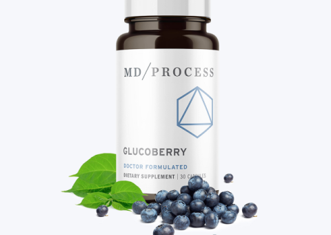 GlucoBerry: Kidney-Targeted Blood Sugar and Metabolism Support