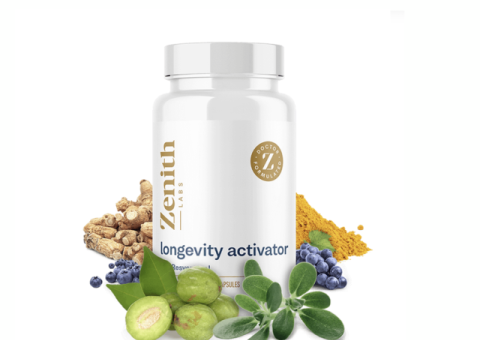 Antioxidant-Rich Foods for Healthy Aging: Key Ingredients