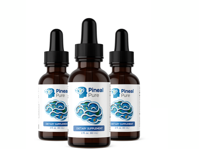 The Role of Berries, Seeds, and Nuts in Protecting Nerve Cells
