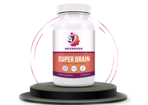 NeuroXen: Cognitive Support for Focus and Memory