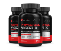 Primordial Vigor X - Revitalize Energy and Enhance Stamina
