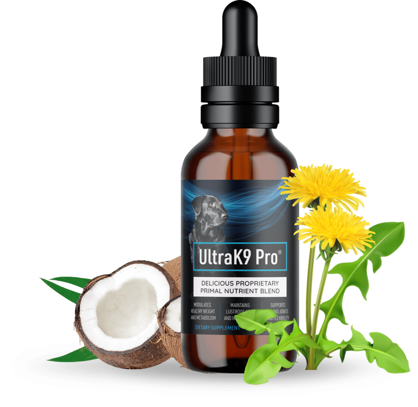 UltraK9 Pro - The Ultimate Supplement for Active Dogs