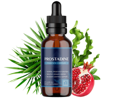 Prostadine - Health of your prostate and urinary system
